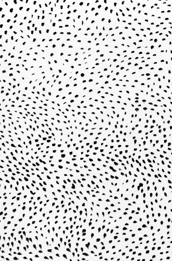 Dots 02 intricate dot pattern art from the Dots series by Georgiana Paraschiv. Dense, flowing teardrop shaped black marks arranged in soft, swirling currents on a white background.