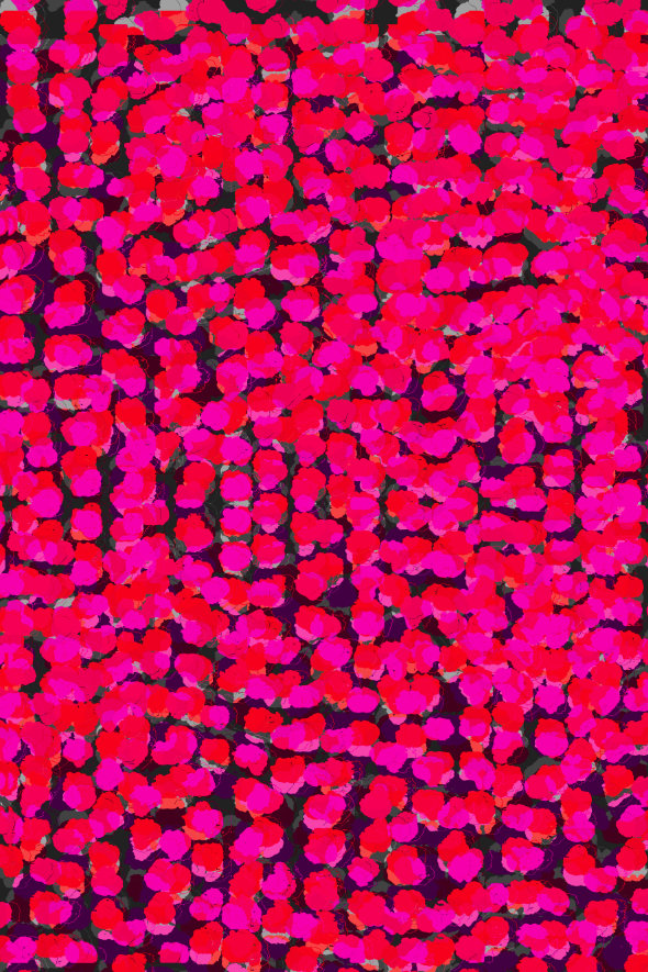 In Bloom intricate dot pattern art from the Dots series by Georgiana Paraschiv. Densely packed neon magenta, hot pink, and red painted dots covering the full composition on a deep black background.