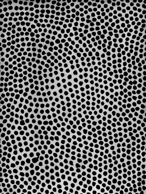 RXY09 intricate dot pattern art from the Dots series by Georgiana Paraschiv. Dense, tightly packed organic black dots in a near-uniform arrangement on a cool grey-white background.